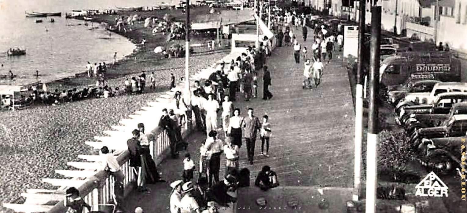 2857- Castiglione - Boulevard de la Plage2 - 1951.jpg